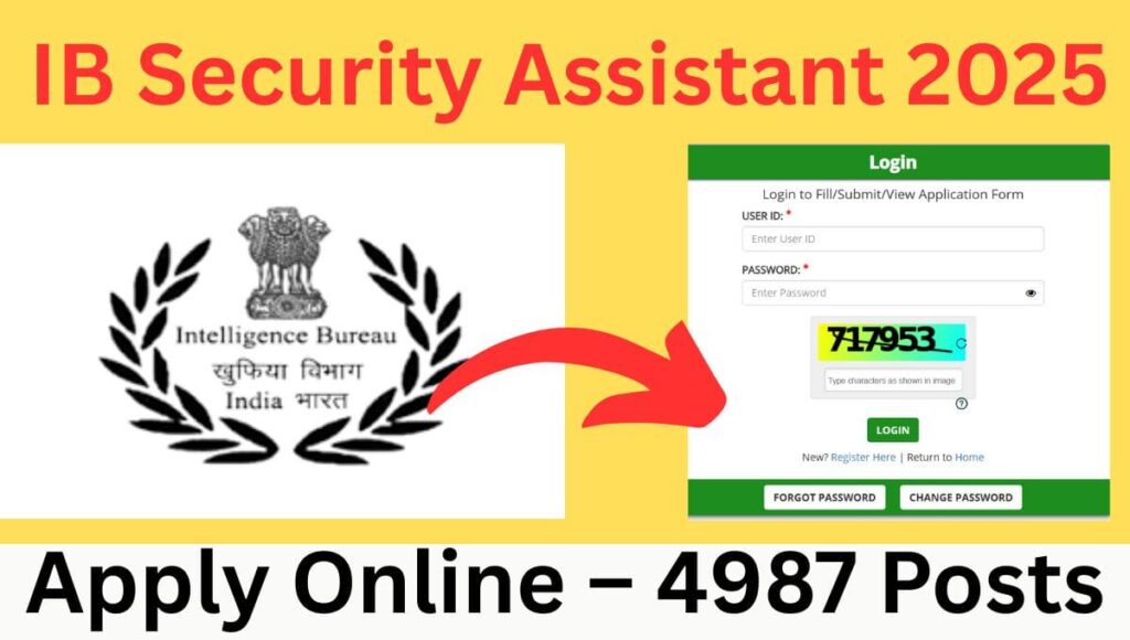 IB Security Assistant 2025